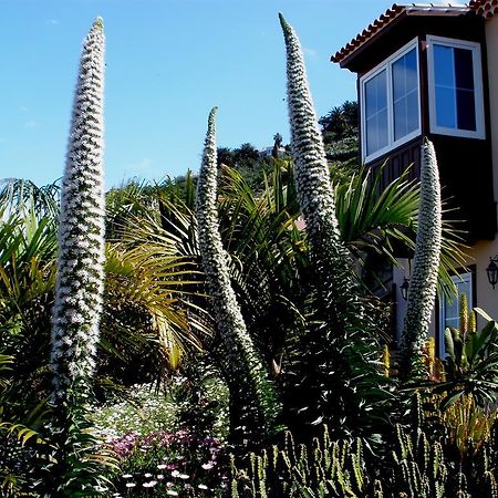 Apartamento Mar Y Teide Саузал Стая снимка