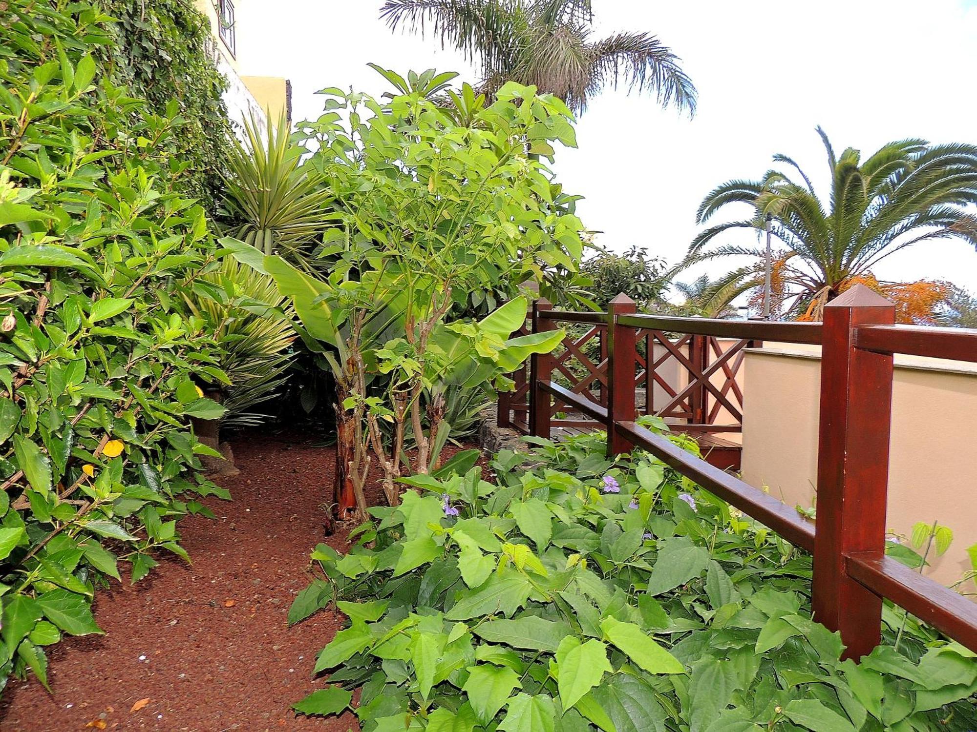 Apartamento Mar Y Teide Саузал Екстериор снимка